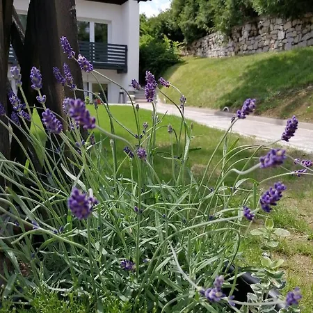 Hillside Nocleg ze śniadaniem *