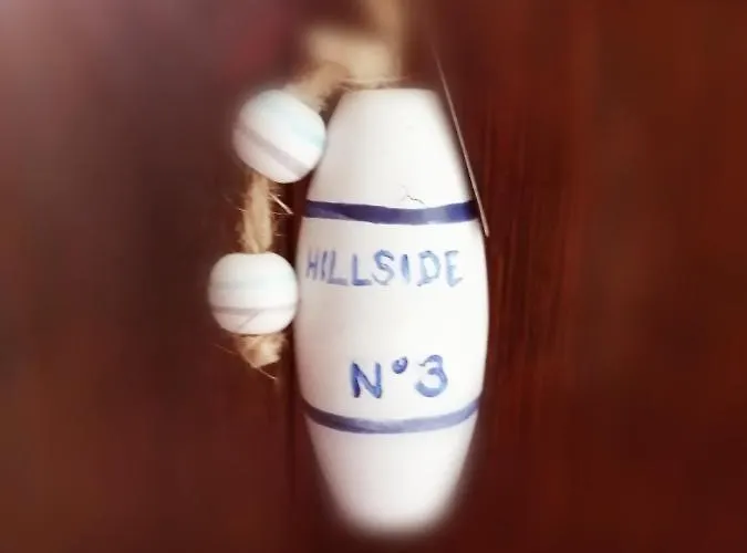 Hillside Bed & Breakfast 3*