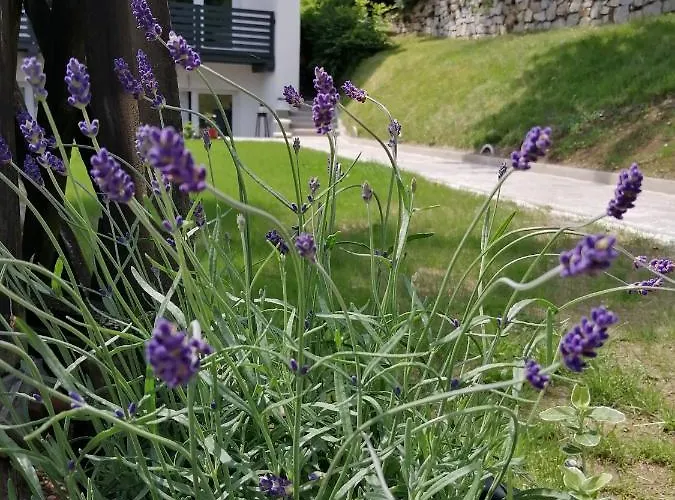 Hillside Bed & Breakfast 3*